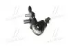 Опора кульова нижня L Toyota Camry 30 35 Highlander 01- Lexus RX330 OLD CBT-57L (вир-во) CTR CB0402L (фото 4)