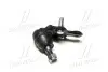 Опора кульова нижня R Toyota Camry 30 35 Highlander 01- Lexus RX330 OLD CBT-57R CTR CB0402R (фото 1)