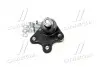 Опора кульова нижня L VW Polo 02- Polo 02-09 Fox Audi A2 00-05 Skoda Seat (вир-во) CTR CB0552L (фото 2)