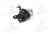 Опора кульова нижня L VW Polo 02- Polo 02-09 Fox Audi A2 00-05 Skoda Seat (вир-во) CTR CB0552L (фото 3)
