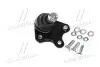 Опора кульова нижня R VW Polo 02- Polo 02-09 Fox Audi A2 00-05 Skoda Seat (вир-во) CTR CB0552R (фото 4)