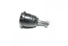 Опора кульова нижня Chevy/GMC Truck Astro/Safari Van 85-05 NEW CB0489 (вир-во) CTR CBG-77 (фото 1)