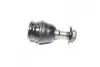 Опора кульова нижня Subaru Legacy 20- Outback 20- NEW CB0517 (вир-во) CTR CBSU-8 (фото 1)