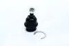 Опора кульова нижня Toyota Fortuner 05- Hilux 05- NEW CB0408 CTR CBT-64 (фото 1)