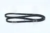 Ремінь клиновий Dayco DAYCO 10A1250C (фото 3)