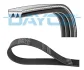 Ремень DAYCO 3PK975 (фото 1)