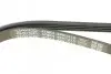 Ремінь П-клиновий Dayco DAYCO 4PK1215 (фото 4)