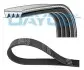 Ремінь П-клиновий Dayco DAYCO 4PK675 (фото 1)