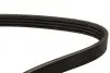 Ремінь П-клиновий Dayco DAYCO 4PK875 (фото 2)