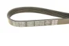 Ремінь П-клиновий Dayco DAYCO 5PK1010 (фото 4)