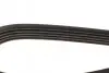 Ремінь П-клиновий Dayco DAYCO 5PK1025 (фото 3)