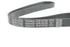 Ремінь П-клиновий Dayco DAYCO 5PK1072S (фото 4)