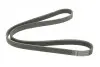 Ремінь П-клиновий Dayco DAYCO 5PK1125 (фото 5)