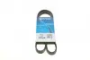 Ремінь П-клиновий Dayco DAYCO 5PK1137 (фото 1)