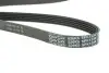 Ремінь П-клиновий Dayco DAYCO 5PK1334 (фото 3)