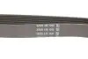 Ремінь П-клиновий Dayco DAYCO 6PK1004K (фото 2)