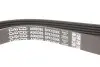 Ремінь П-клиновий Dayco DAYCO 6PK1004K (фото 3)