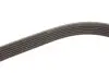 Ремінь П-клиновий Dayco DAYCO 6PK1004K (фото 4)