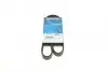Ремінь П-клиновий Dayco DAYCO 6PK1013 (фото 1)