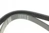 Ремінь П-клиновий Dayco DAYCO 6PK1013 (фото 3)