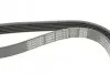 Ремінь П-клиновий Dayco DAYCO 6PK1013 (фото 4)