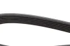 Ремінь П-клиновий Dayco DAYCO 6PK1025 (фото 3)