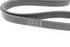 Ремінь генератора поліклиновий DAYCO 6PK1033EE (фото 2)