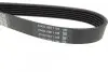 Ремінь П-клиновий Dayco DAYCO 6PK1035 (фото 2)