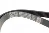 Ремінь П-клиновий Dayco DAYCO 6PK1035 (фото 3)