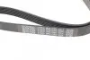 Ремінь П-клиновий Dayco DAYCO 6PK1040 (фото 4)