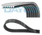 Ремінь П-клиновий 6PK1041 Dayco DAYCO 6PK1041PM (фото 1)