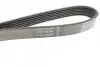 Ремінь П-клиновий Dayco DAYCO 6PK1053 (фото 3)