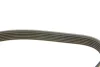 Ремінь П-клиновий Dayco DAYCO 6PK1059 (фото 3)