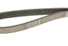 Ремінь П-клиновий Dayco DAYCO 6PK1059 (фото 4)