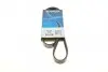 Ремінь П-клиновий Dayco DAYCO 6PK1065 (фото 1)