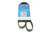 Ремінь П-клиновий Dayco DAYCO 6PK1082 (фото 1)