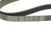Ремінь П-клиновий Dayco DAYCO 6PK1082 (фото 4)