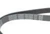 Ремінь П-клиновий Dayco DAYCO 6PK1090EE (фото 4)