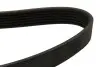 Ремінь П-клиновий Dayco DAYCO 6PK1095 (фото 2)