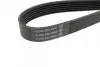 Ремінь П-клиновий Dayco DAYCO 6PK1105 (фото 2)