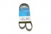Ремінь П-клиновий Dayco DAYCO 6PK1115 (фото 1)