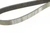 Ремінь П-клиновий Dayco DAYCO 6PK1115 (фото 4)