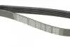 Ремінь П-клиновий Dayco DAYCO 6PK1130 (фото 5)