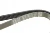 Ремінь П-клиновий Dayco DAYCO 6PK1137 (фото 4)