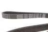 Ремінь П-клиновий Dayco DAYCO 6PK1140EE (фото 4)