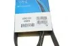 Ремінь П-клиновий Dayco DAYCO 6PK1145 (фото 6)