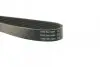 Ремінь П-клиновий Dayco DAYCO 6PK1152 (фото 3)