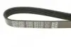 Ремінь П-клиновий Dayco DAYCO 6PK1152 (фото 4)