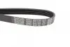 Ремінь П-клиновий Dayco DAYCO 6PK1155 (фото 2)