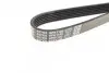 Ремінь П-клиновий Dayco DAYCO 6PK1160 (фото 3)